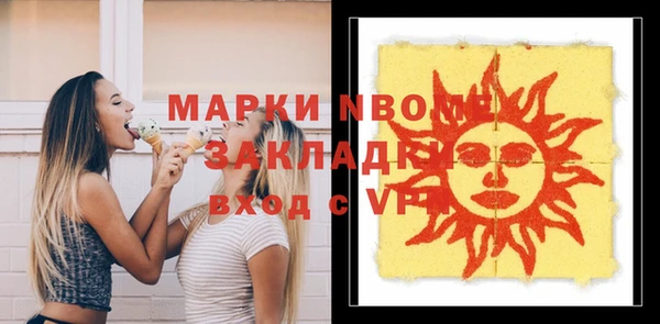 индика Горняк