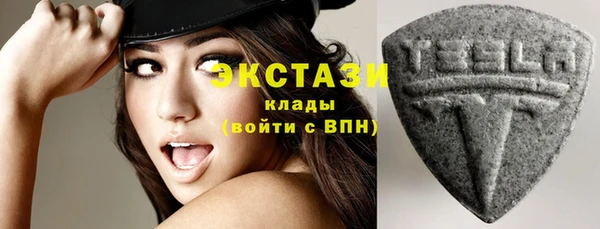 индика Горняк