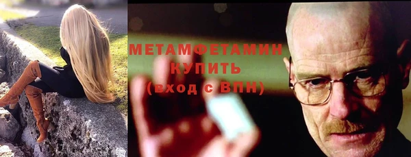 индика Горняк