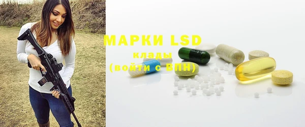 индика Горняк