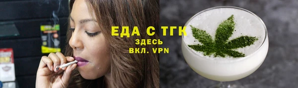 индика Горняк