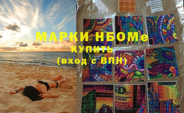 индика Горняк