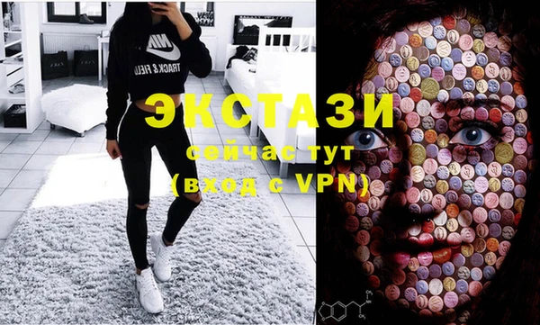 индика Горняк