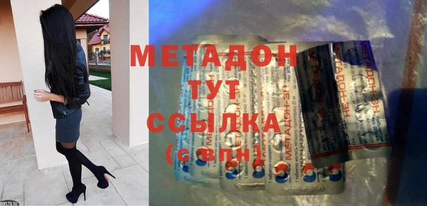 индика Горняк