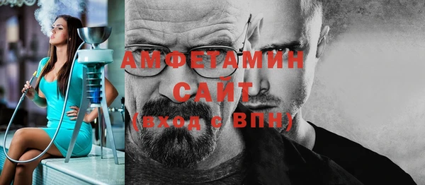 индика Горняк