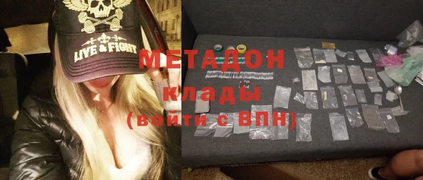 индика Горняк