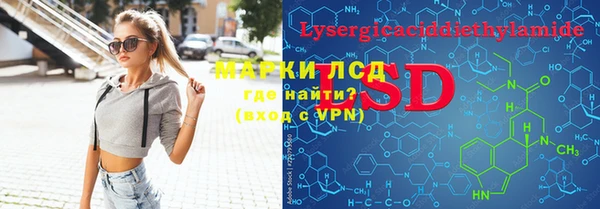 индика Горняк