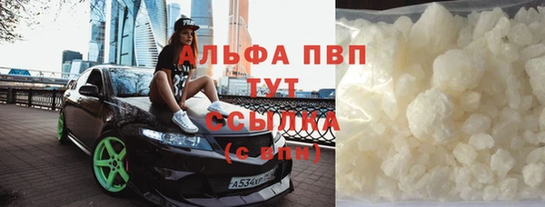 индика Горняк