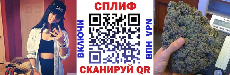 Канабис сатива Бородино